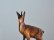画像6: 卓上カレンダー鹿のオブジェ付き