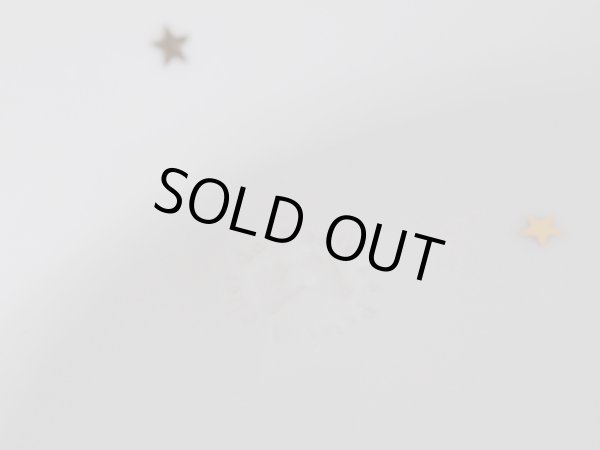 画像4: 星のプレート (4)