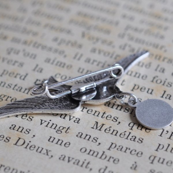 画像3: ルルドの泉奇跡の聖水メダイ付きカモメのブローチ (3)