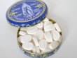 画像2: ルルドの聖水入りパスティーユ/ルルドの泉キャンディー缶入り100g (2)